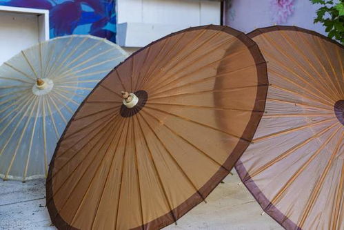 數(shù)字化升級，共創(chuàng)美好未來——紙世界網(wǎng)的紙制品銷售新篇章